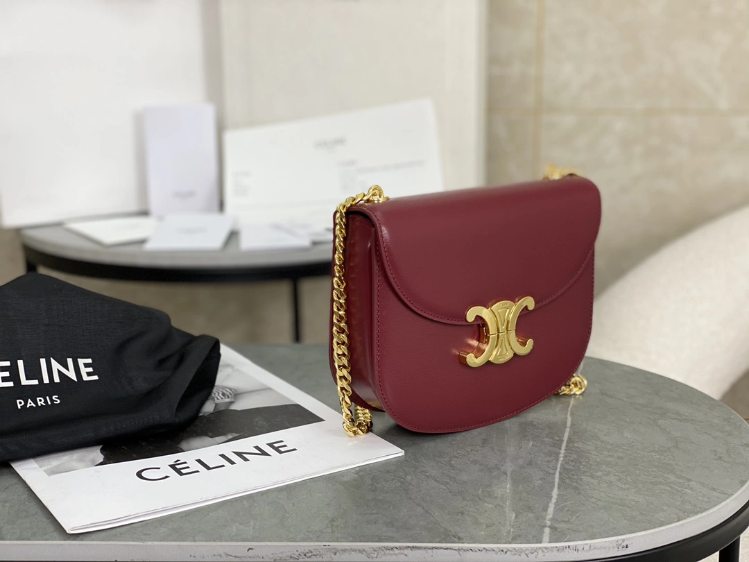 Celine Besace Bags Cozy 94653