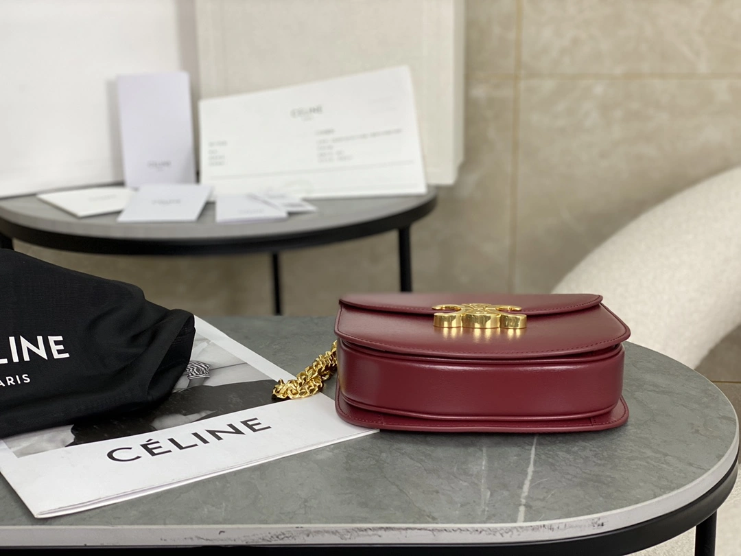 Celine Besace Bags Cozy 94653