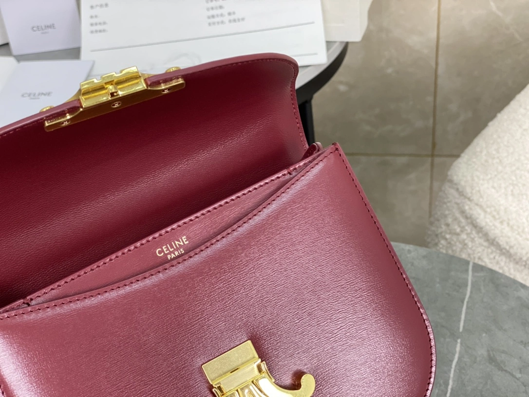 Celine Besace Bags Cozy 94653