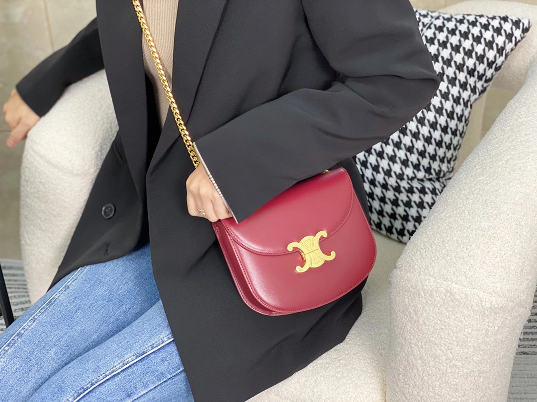 Celine Besace Bags Cozy 94653