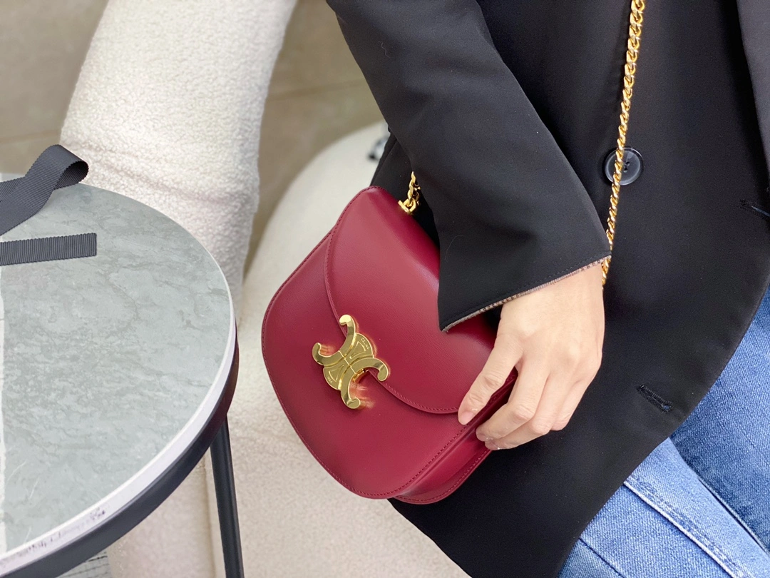 Celine Besace Bags Cozy 94653