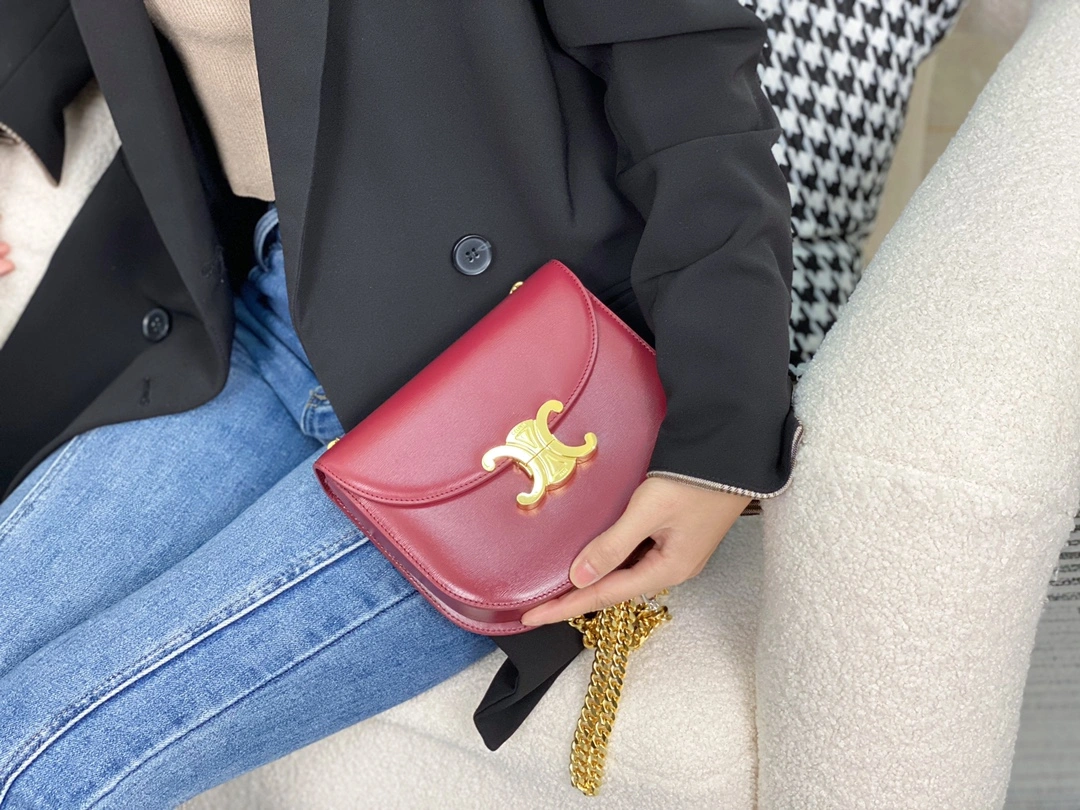Celine Besace Bags Cozy 94653
