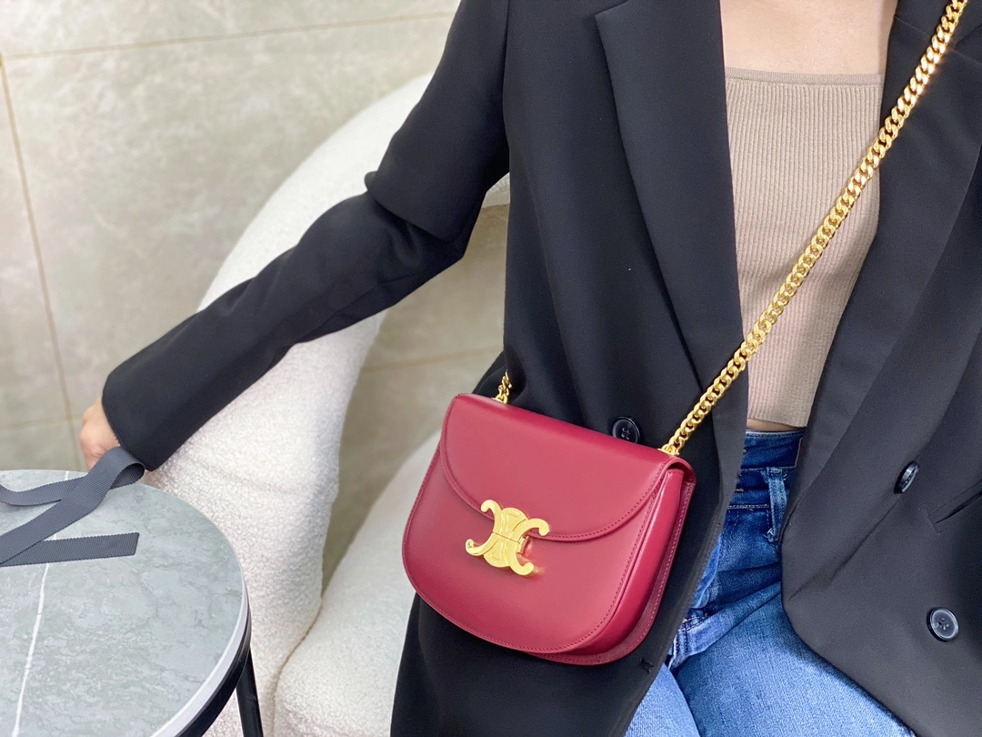 Celine Besace Bags Cozy 94653