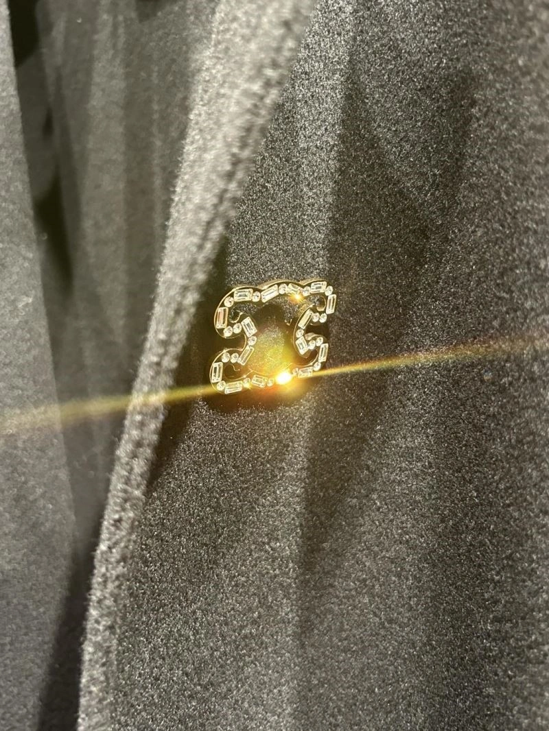 Functional Celine Brooches 218296