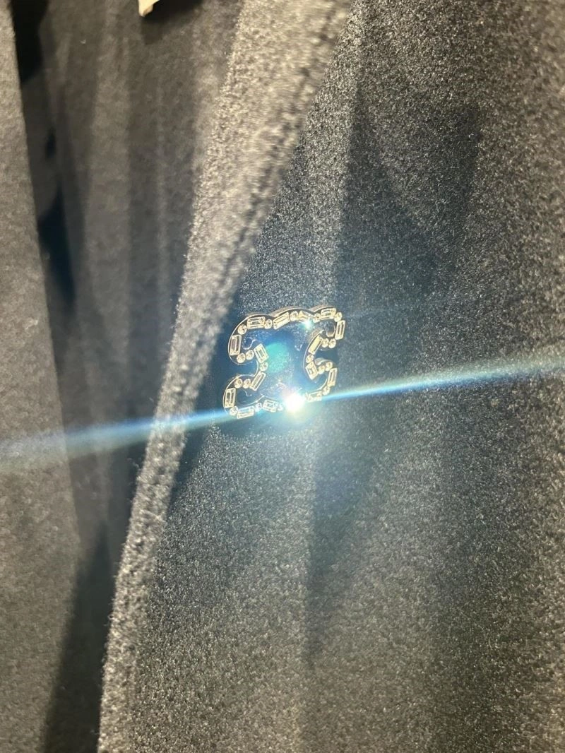 Functional Celine Brooches 218296