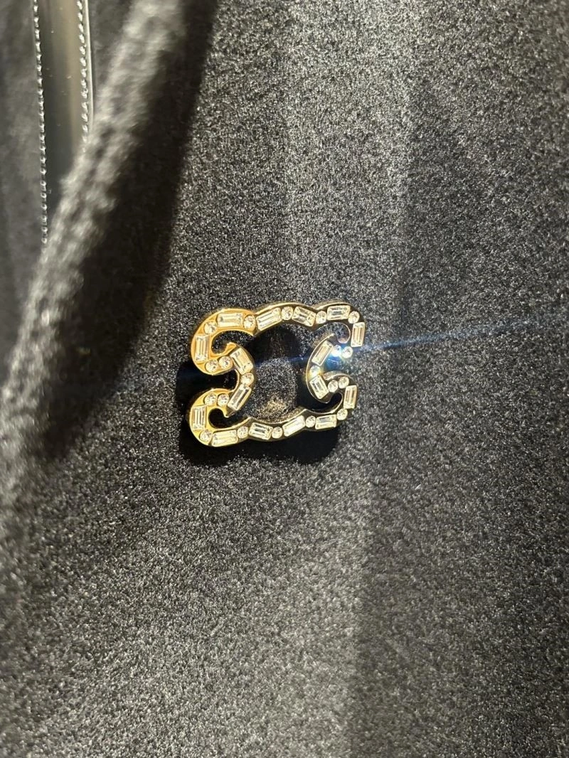 Functional Celine Brooches 218296