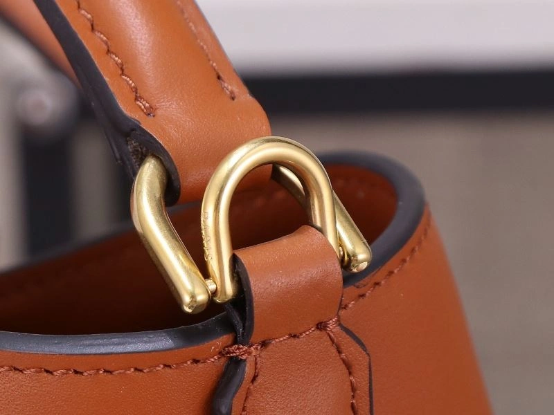 Colorful Celine Bucket Bags 77292