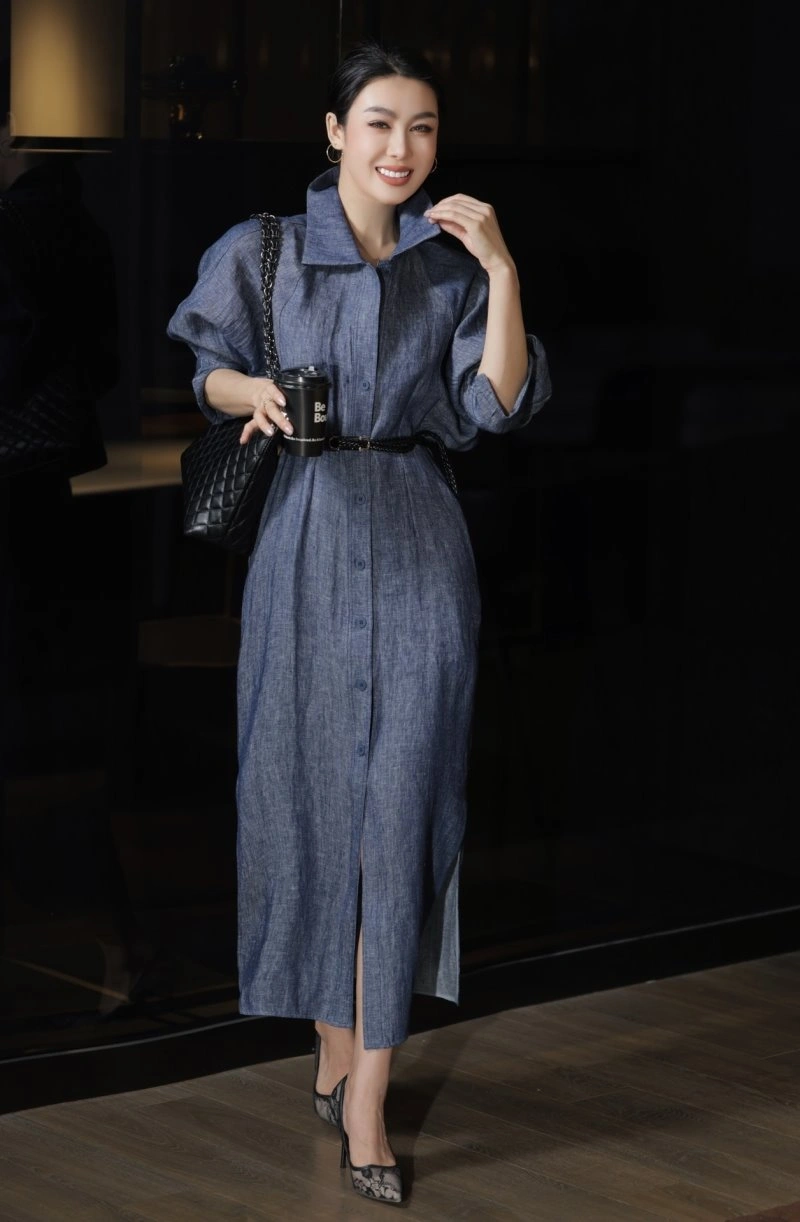 Sophisticated Celine Dress 107009