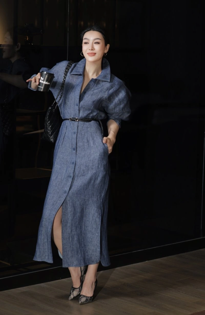 Sophisticated Celine Dress 107009