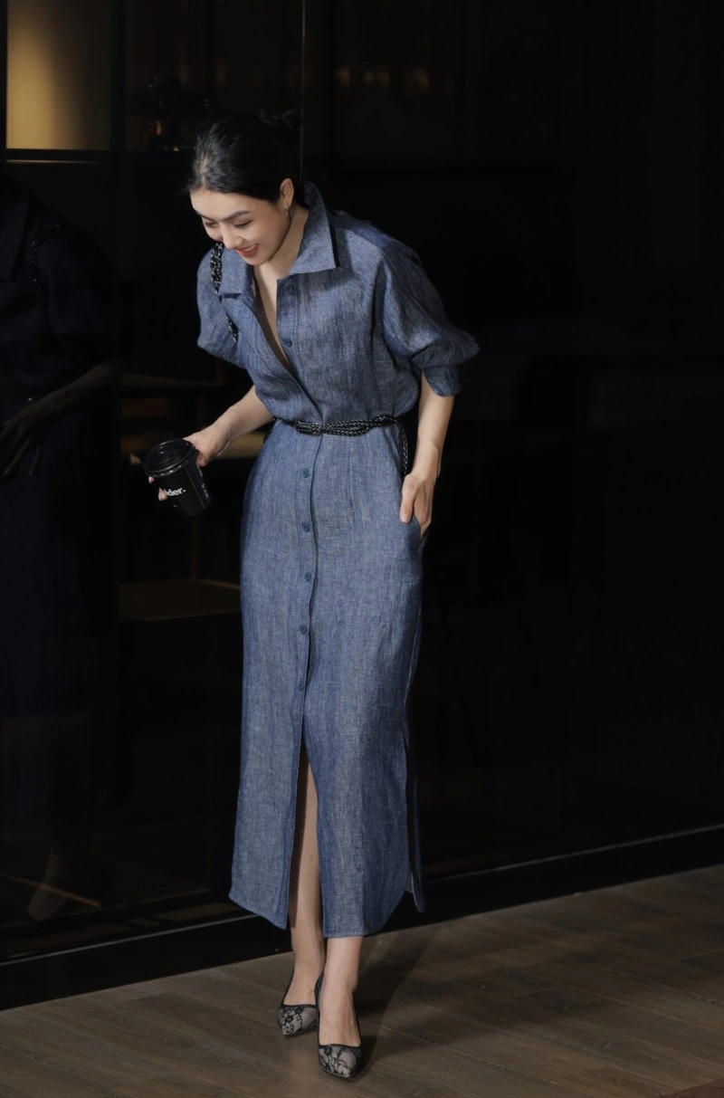 Sophisticated Celine Dress 107009
