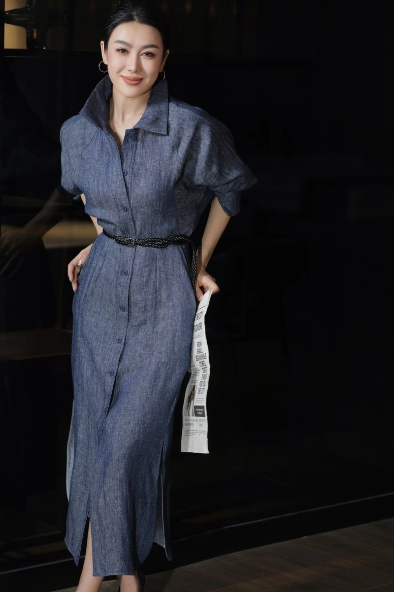 Sophisticated Celine Dress 107009