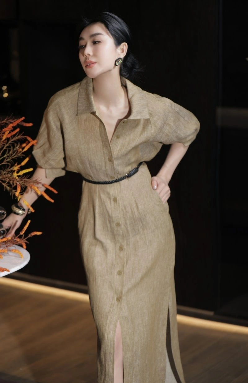 Premium Celine Dress 107010