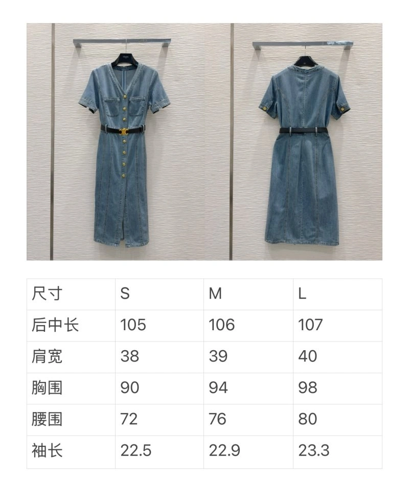 Celine Dress WrinkleFree 106994