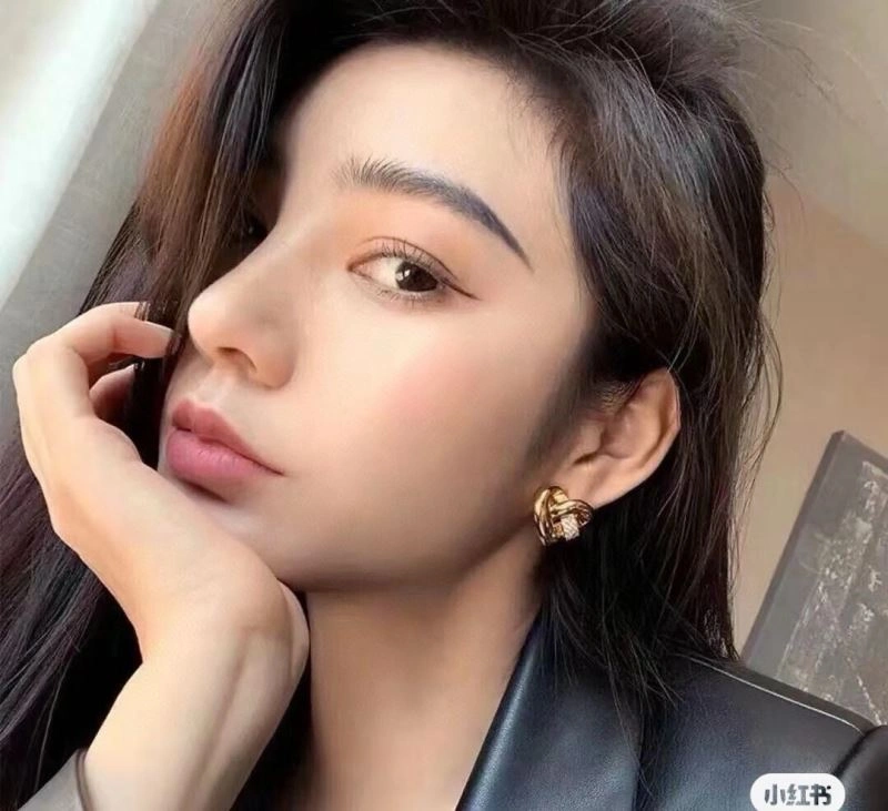 Celine Earrings Sophisticated 218644