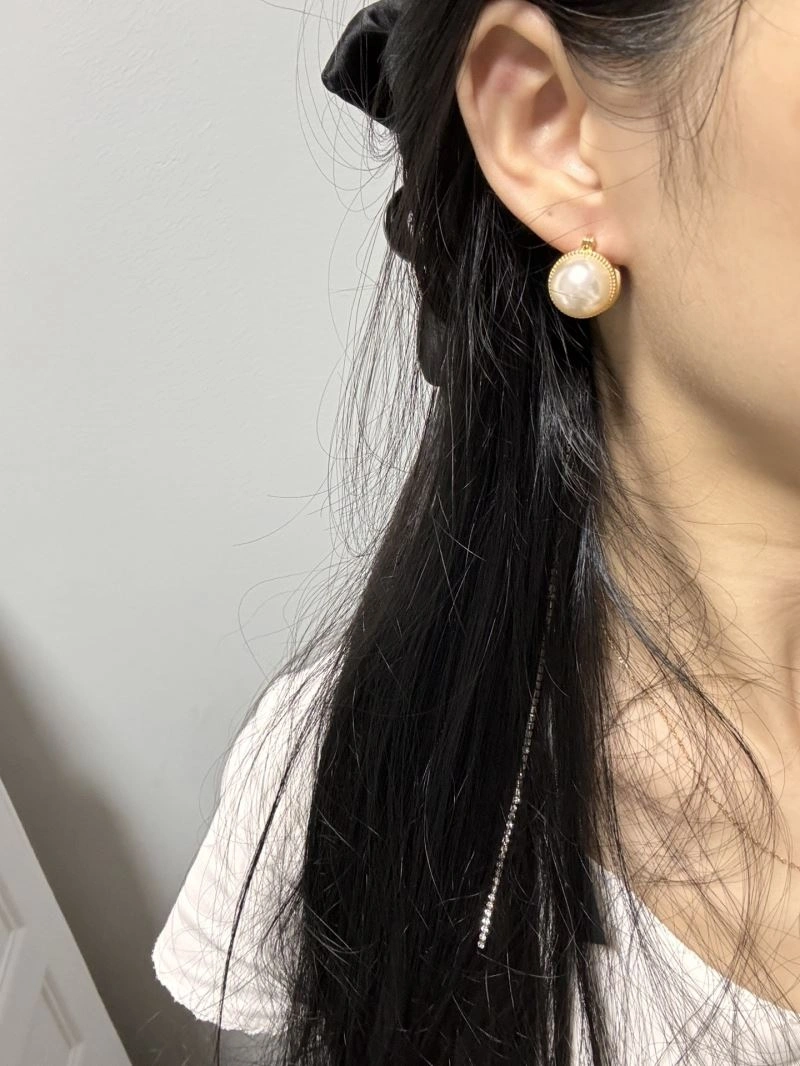 Sustainable Celine Earrings 218612