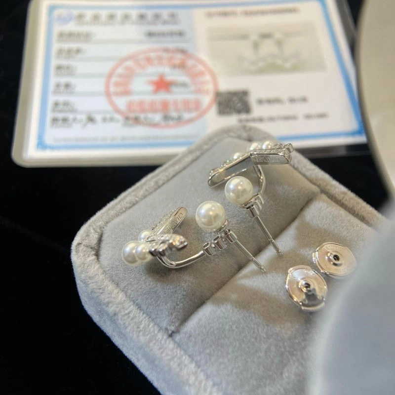 Celine Earrings FlexibleFit 218609