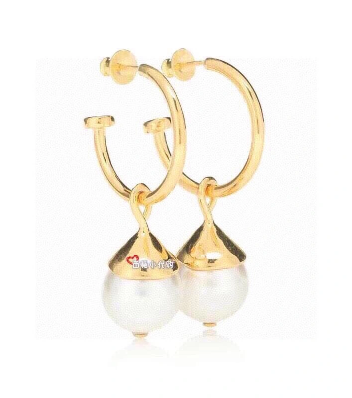 Celine Earrings QuickDry 218839