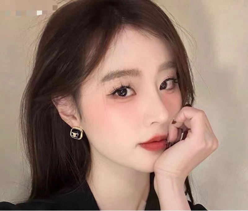 Celine Earrings Attractive 218588