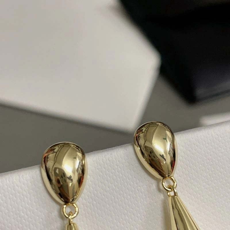 Celine Earrings Affordable 218580