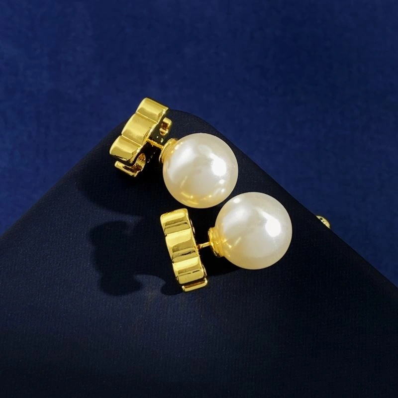 Celine Earrings Breathable 218431