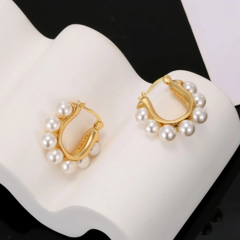Celine Earrings Bold 218429