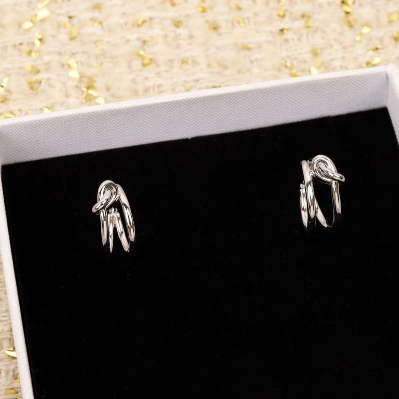 Celine Earrings Attractive 218417