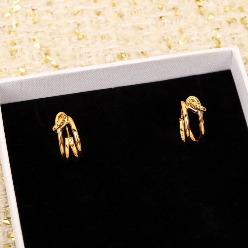 Celine Earrings Attractive 218417
