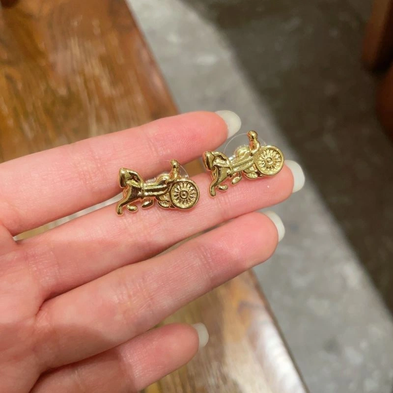 Compact Celine Earrings 218398