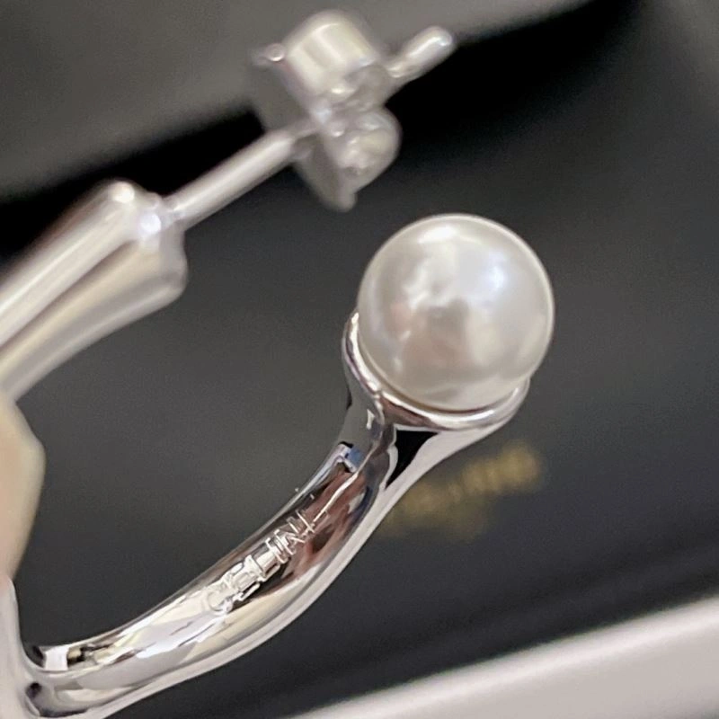 Breathable Celine Earrings 218390