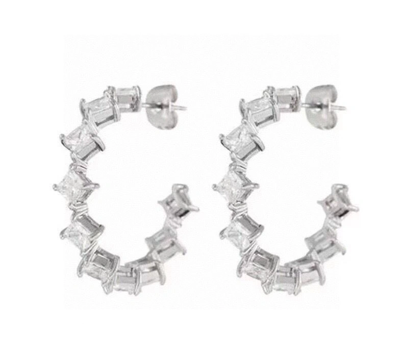 Versatile Celine Earrings 218410