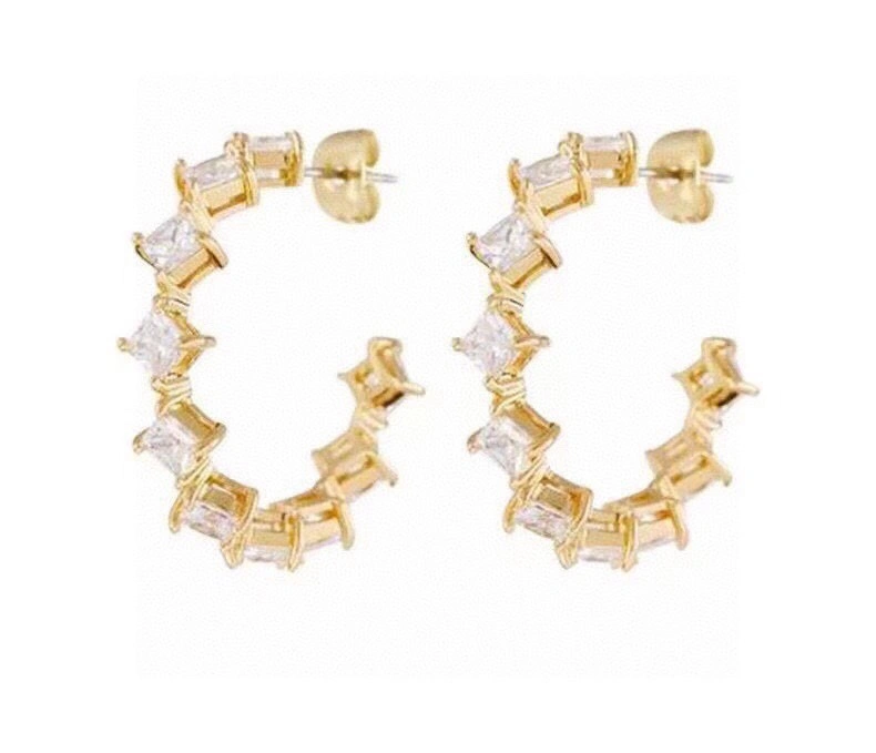 Versatile Celine Earrings 218410