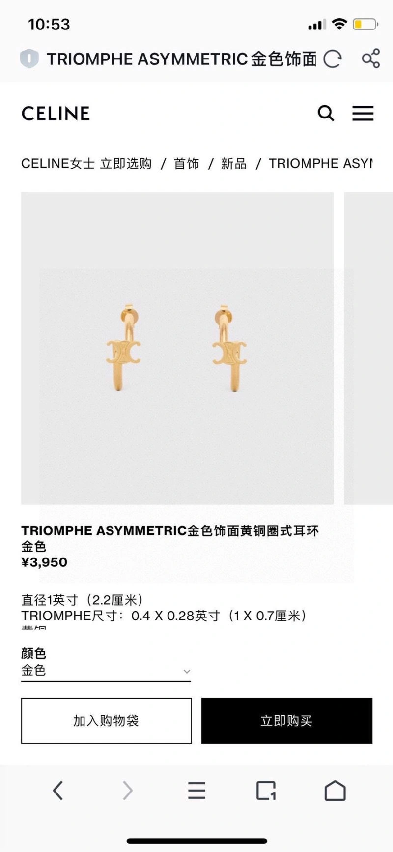 Celine Earrings Flexible 218354