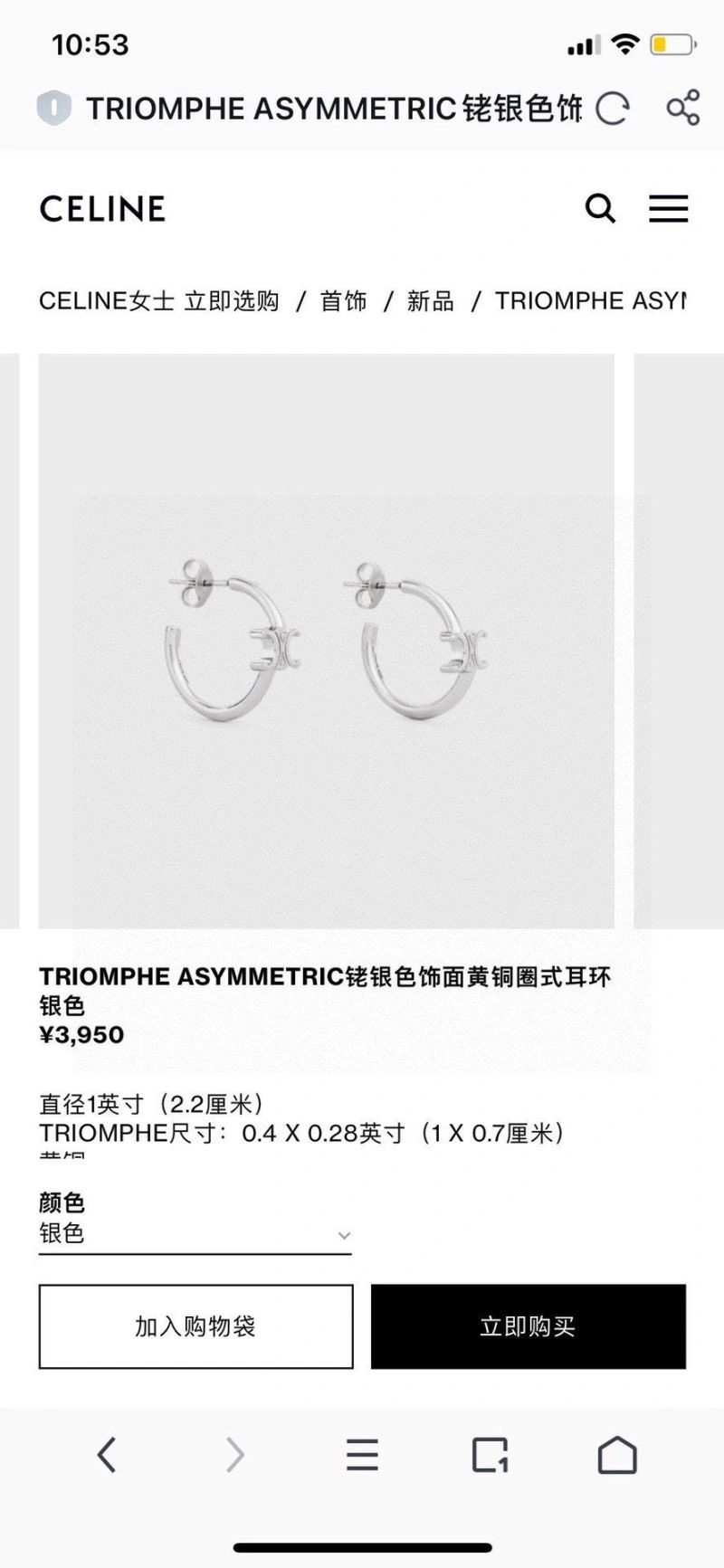 Celine Earrings Flexible 218354