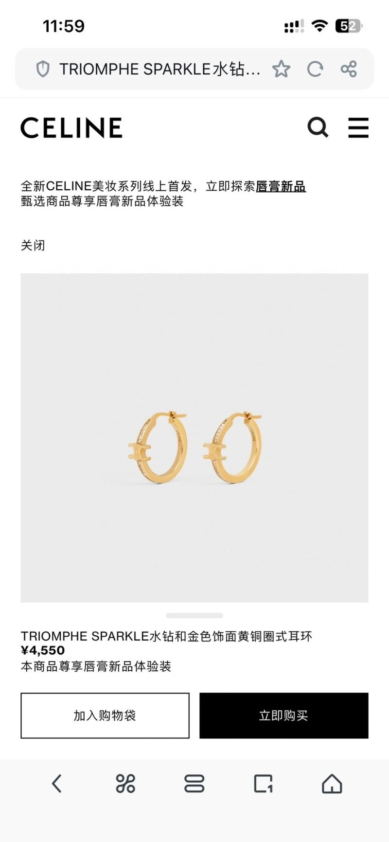 Celine Earrings BestValue 218327