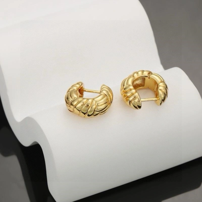 Contemporary Celine Earrings 218293