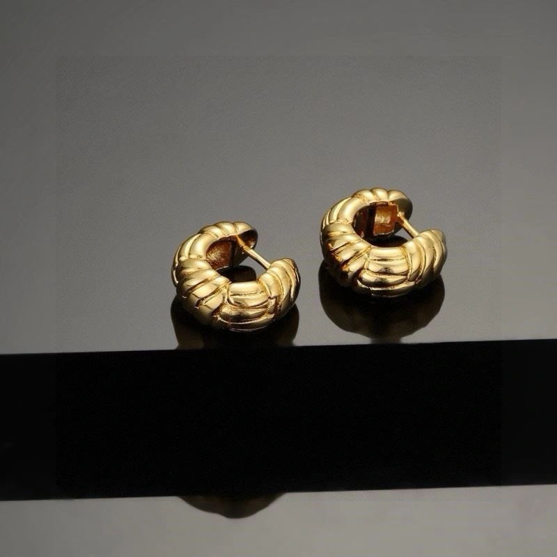 Contemporary Celine Earrings 218293