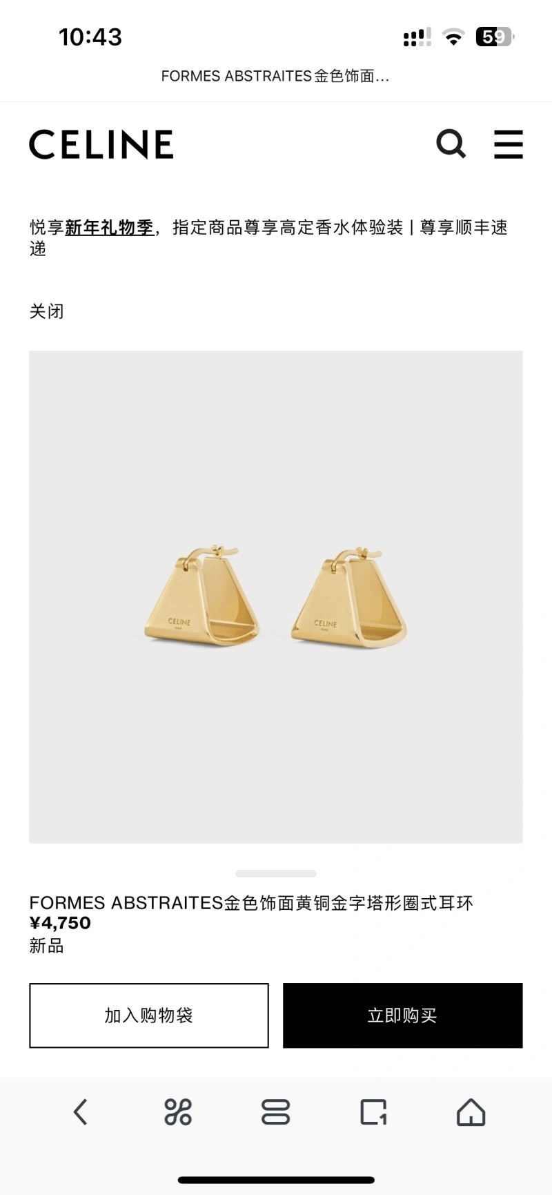 Celine Earrings QuickDry 218276