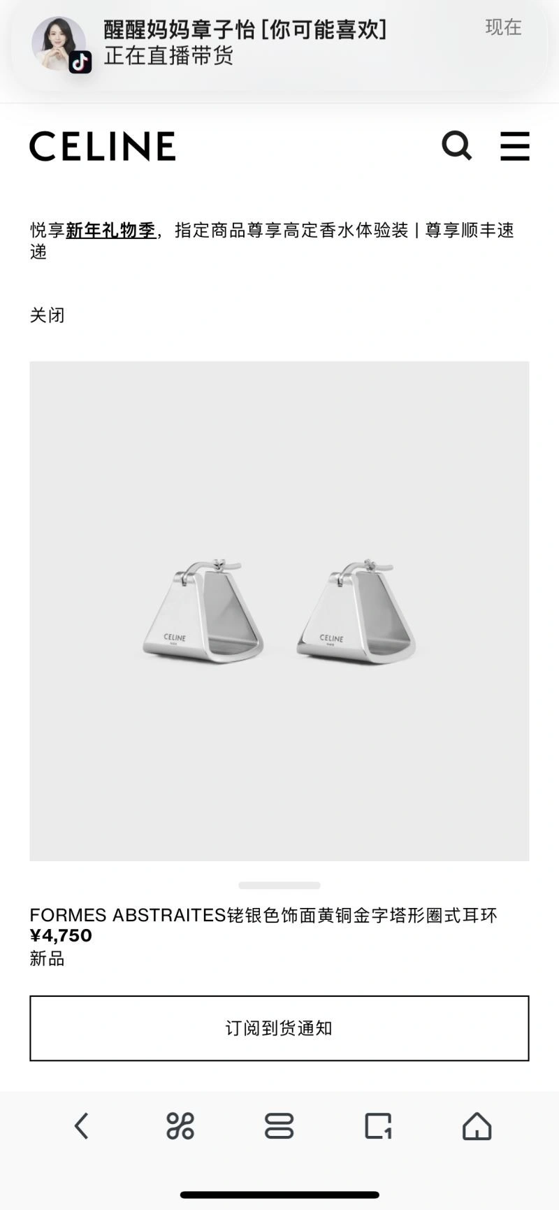 Celine Earrings QuickDry 218276