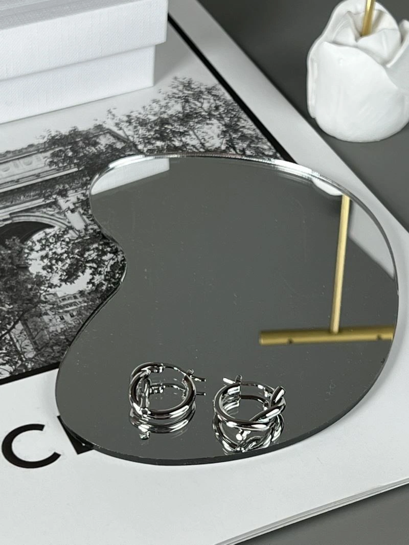 Celine Earrings StreetReady 218247