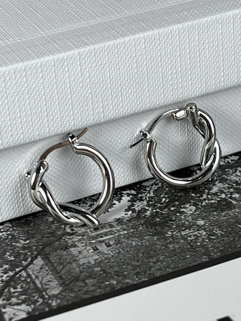 Celine Earrings StreetReady 218247