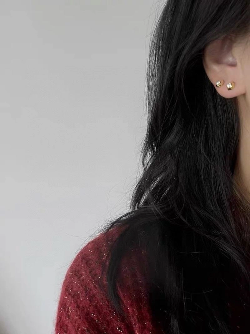 Celine Earrings SportInspired 218235