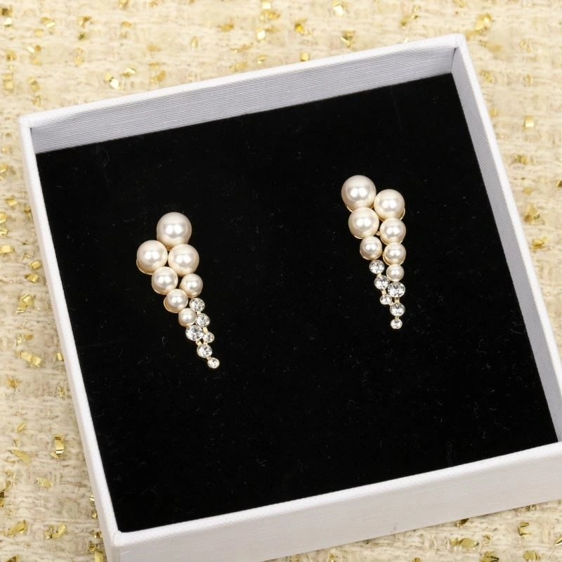 Functional Celine Earrings 218326