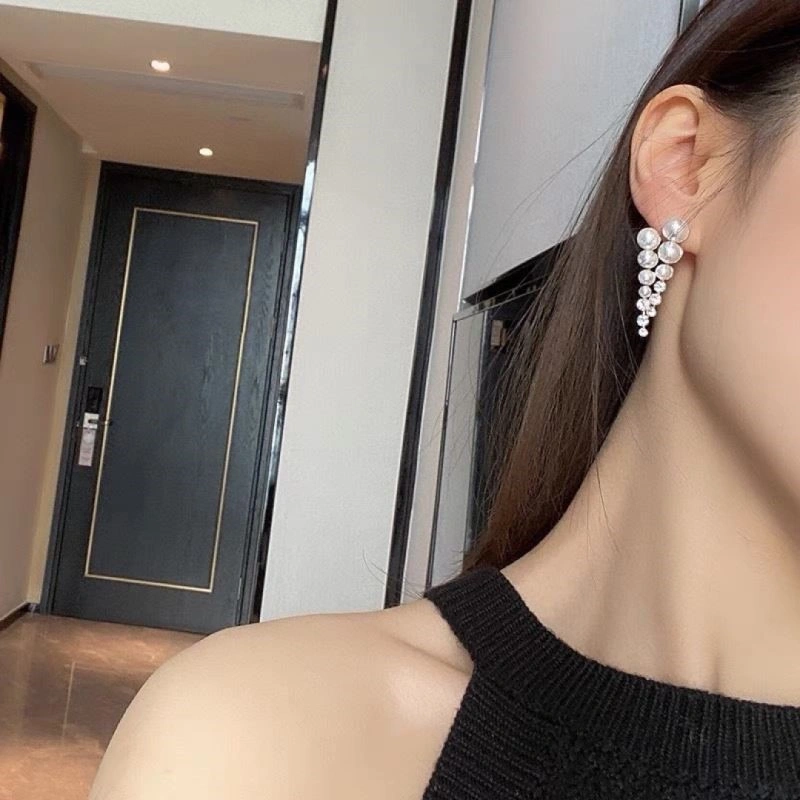 Functional Celine Earrings 218326