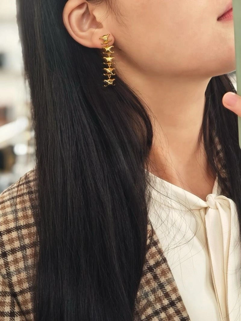 Celine Earrings Fashionable 218094