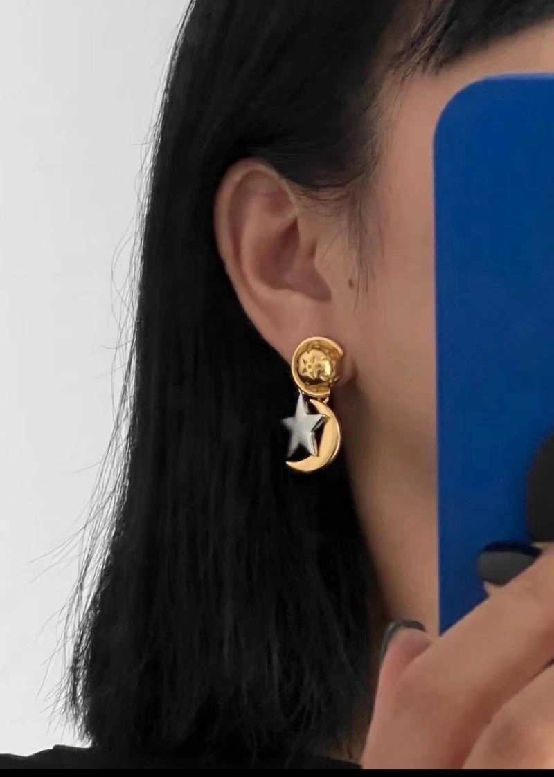 Celine Earrings TechFriendly 218073