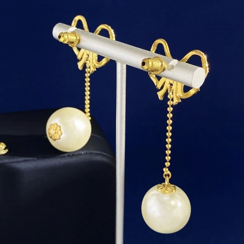 Attractive Celine Earrings 218096
