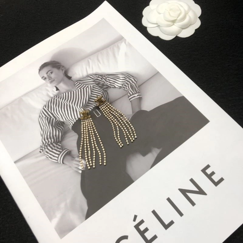 Efficient Celine Earrings 218029