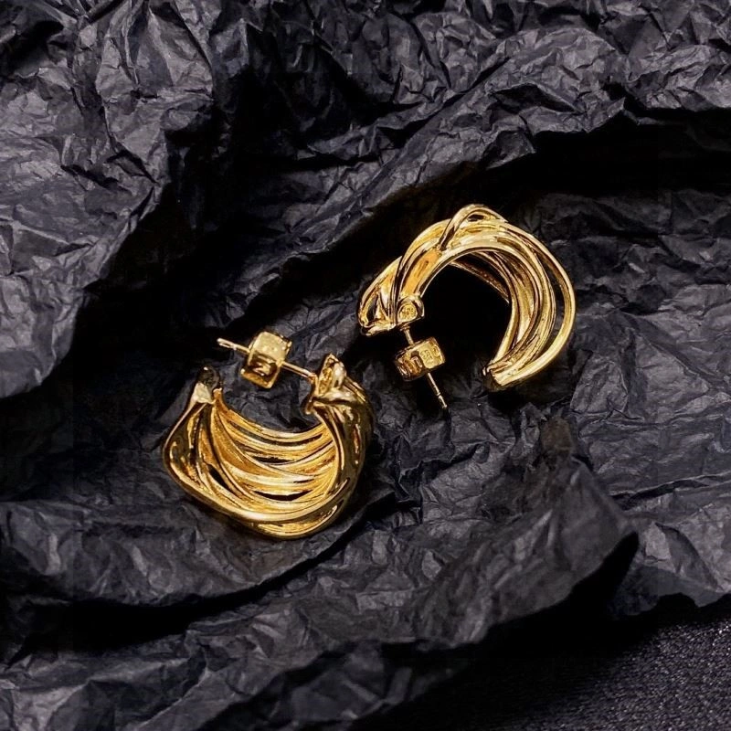 Celine Earrings Affordable 218011