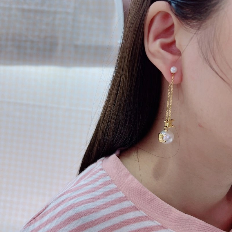 Celine Earrings Sleek 217935