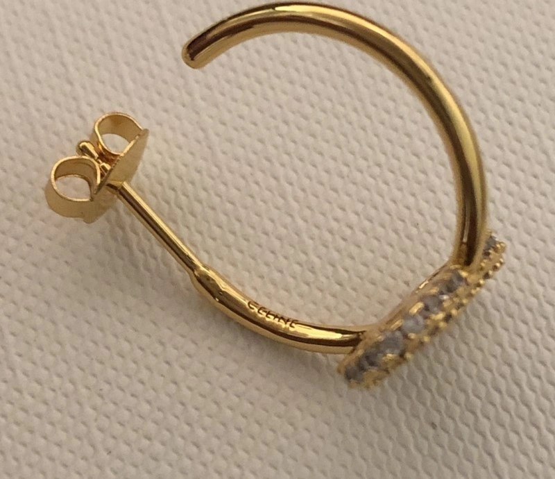 Celine Earrings Stylish 217924